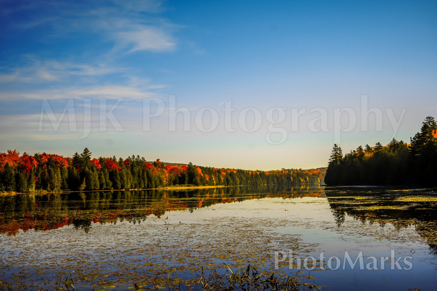 Maine Lake at Golden Hour, 2025 - Print