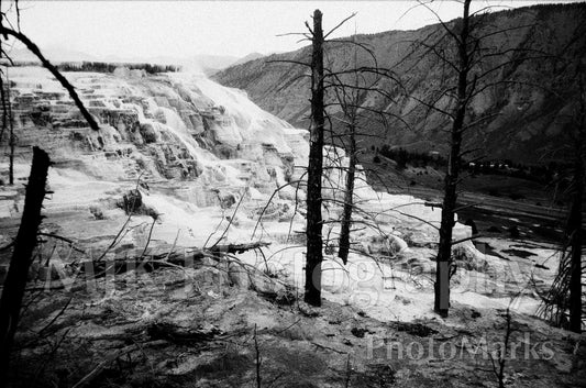 Ghosts of the Terraces, 2021 - Print