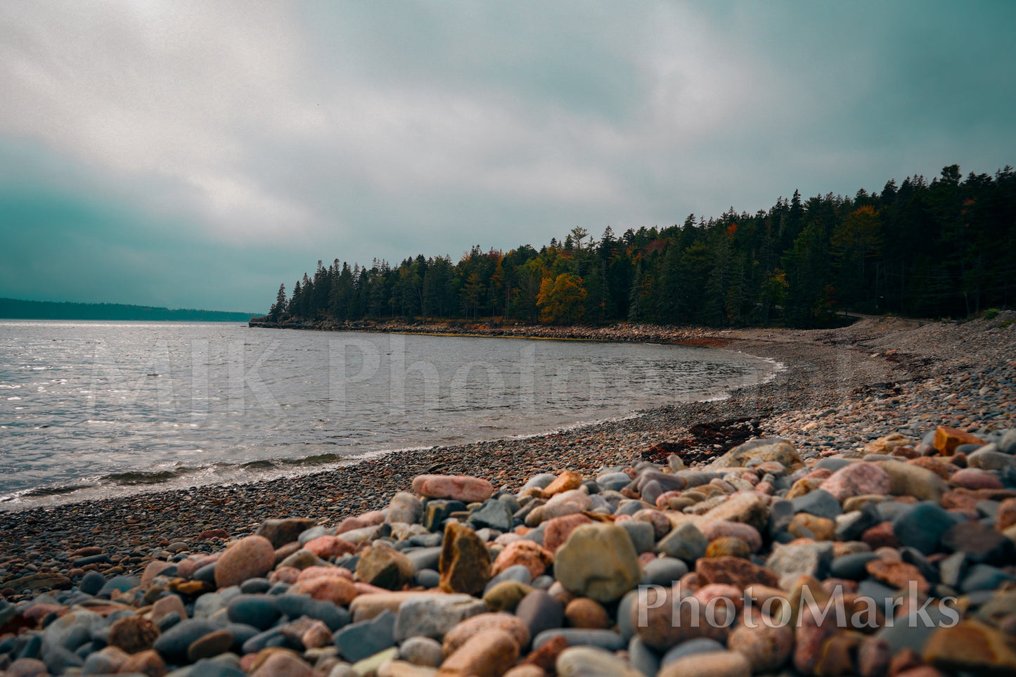 Coastal Forest & Pebble Beach, 2025 - Print