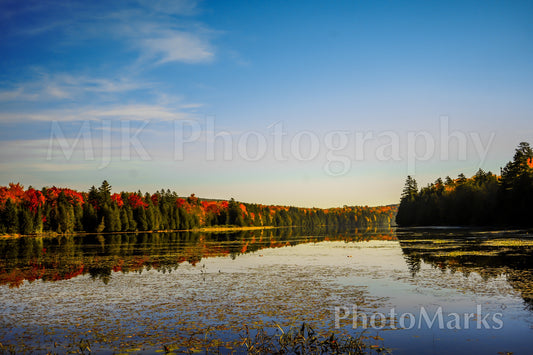Maine Lake at Golden Hour, 2025 - Print