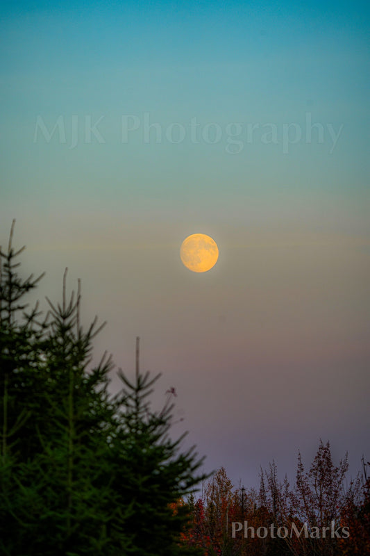 Harvest Moon over Evergreen, 2025 - Print
