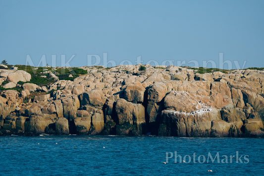 Sun-Drenched Cliffs, 2025 - Print