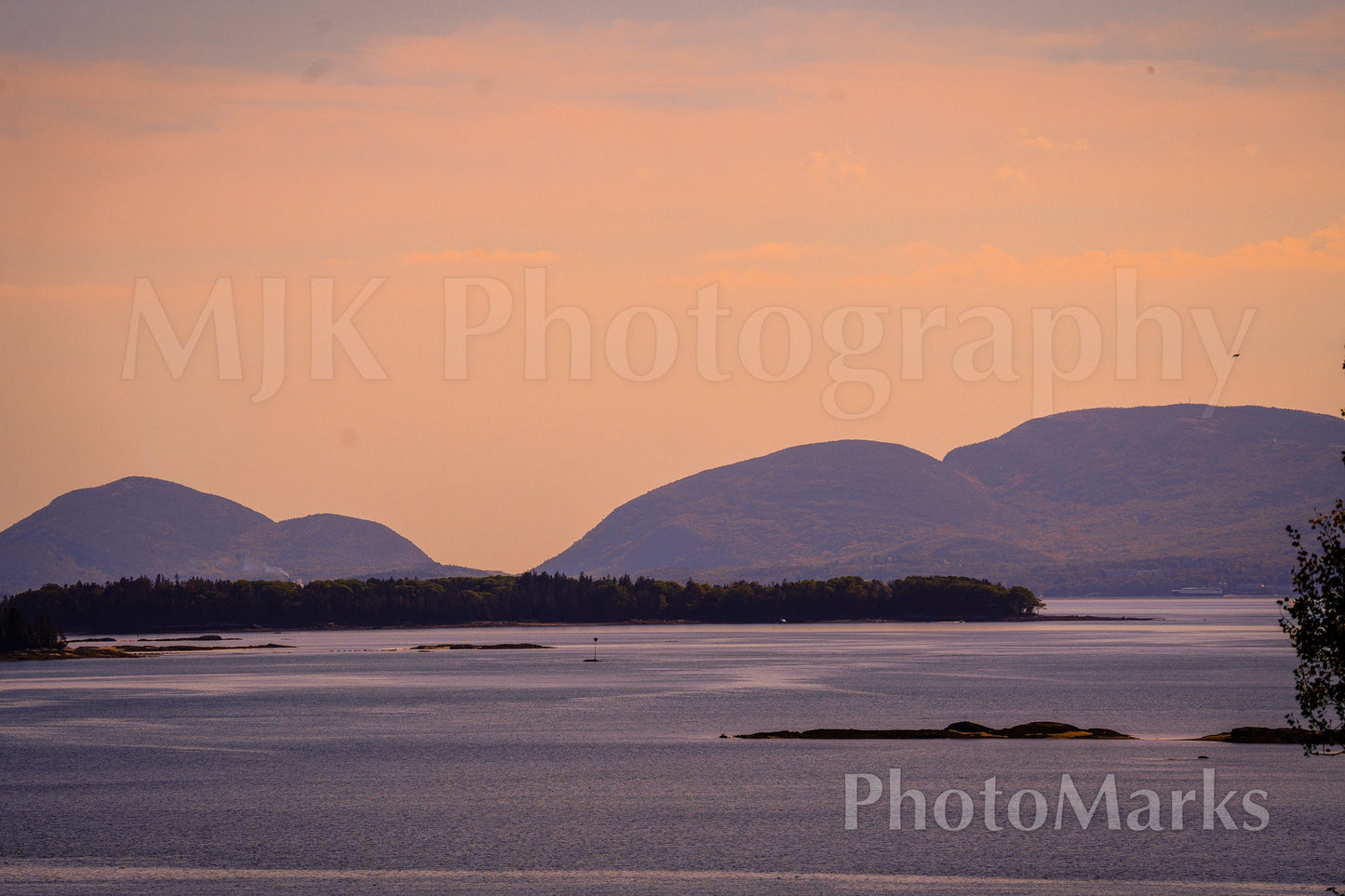 Lavender Twilight in Acadia, 2025 - Print