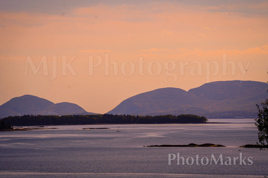 Lavender Twilight in Acadia, 2025 - Print
